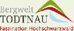 Stadt Todtnau